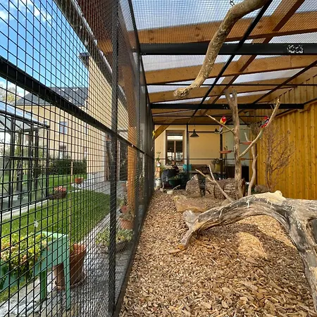 Casalotti Koenigsbrueck Apartment *